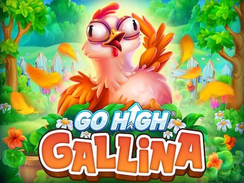 Go High Gallina